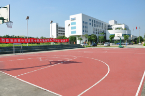 Световая баскетбольная площадка